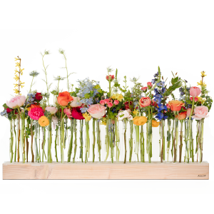Bloom Tall