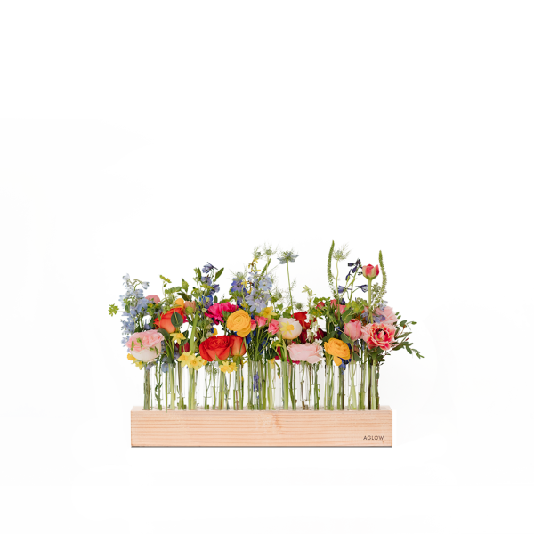 Bloom Short (Conversation Bloom) - Image 6
