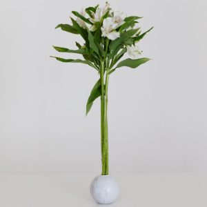 Marble Ball