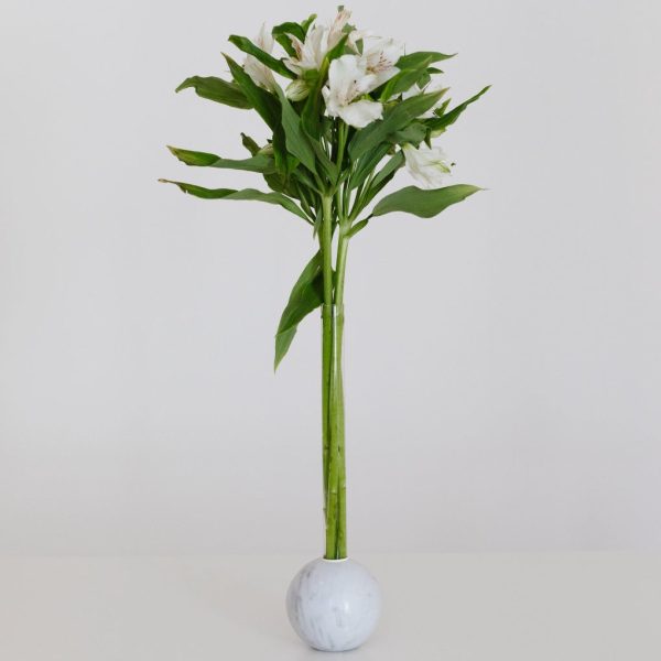Marble Ball